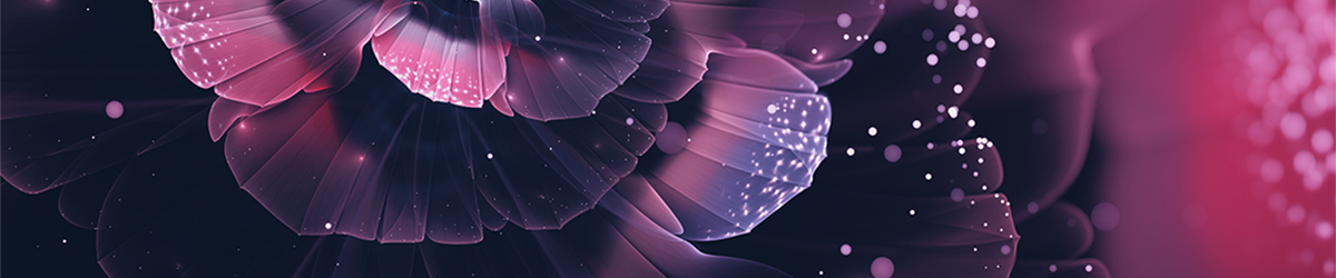 Header: Fractal Flowers